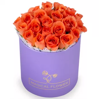 25 оранжевых роз в розовой фиолетовой шляпной коробке
