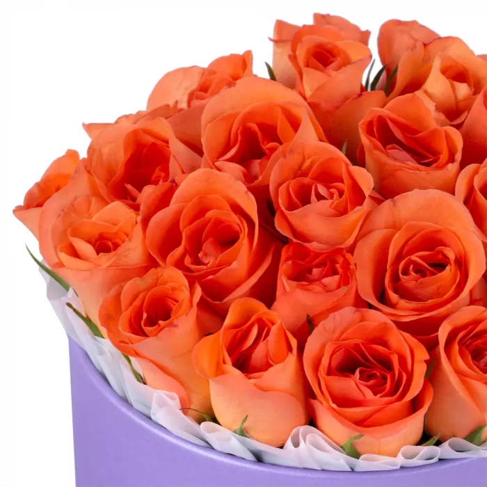 25 оранжевых роз в розовой фиолетовой шляпной коробке