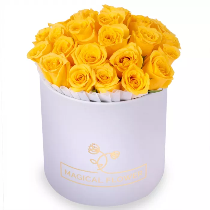 25 желтых роз в белой шляпной коробке