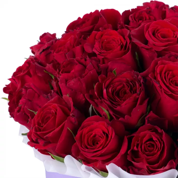 25 красных роз в фиолетовой шляпной коробке