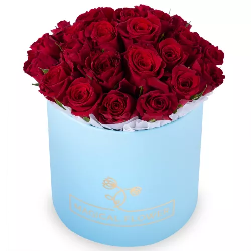 25 красных роз в голубой шляпной коробке