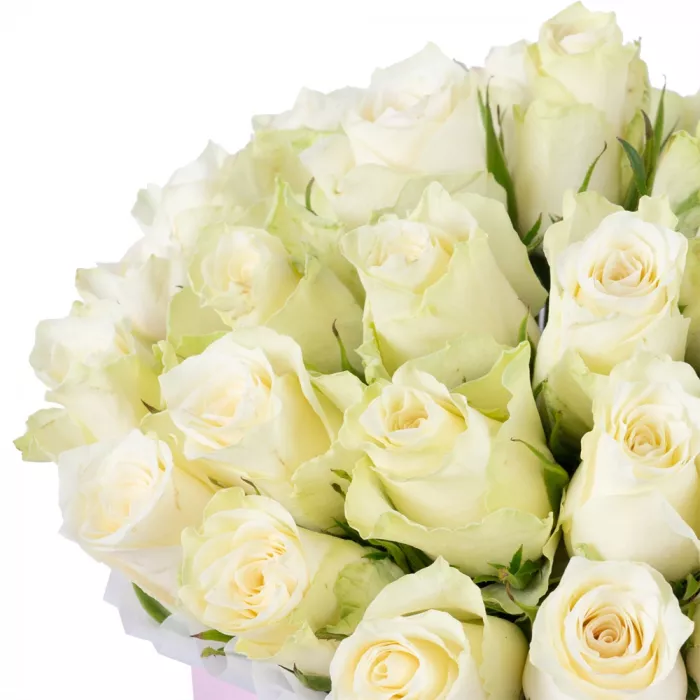 25 белых роз в розовой шляпной коробке