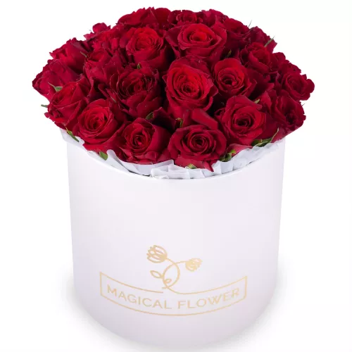 25 красных роз в кремовой шляпной коробке