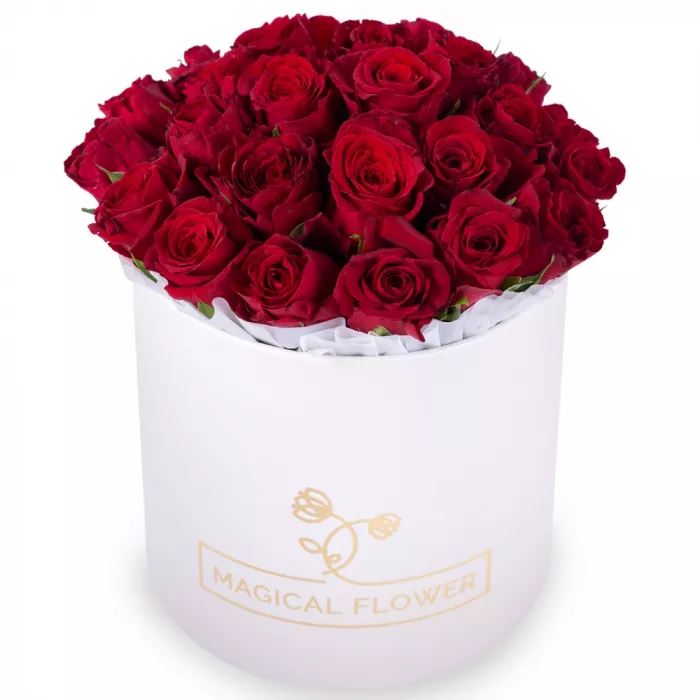 25 красных роз в кремовой шляпной коробке