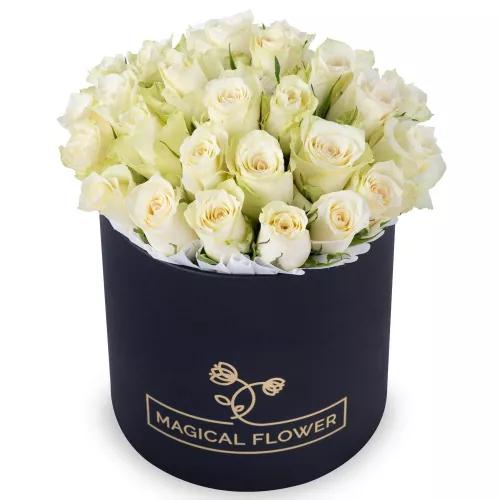 25 белых роз в черной шляпной коробке
