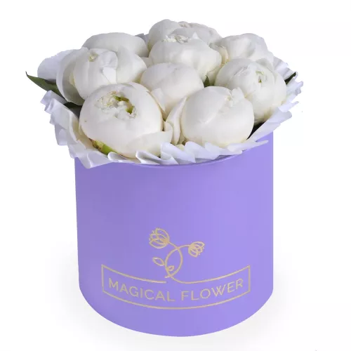 Букет из 9 белых пионов в фиолетовой шляпной коробке