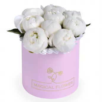 Букет из 9 белых пионов в розовой шляпной коробке