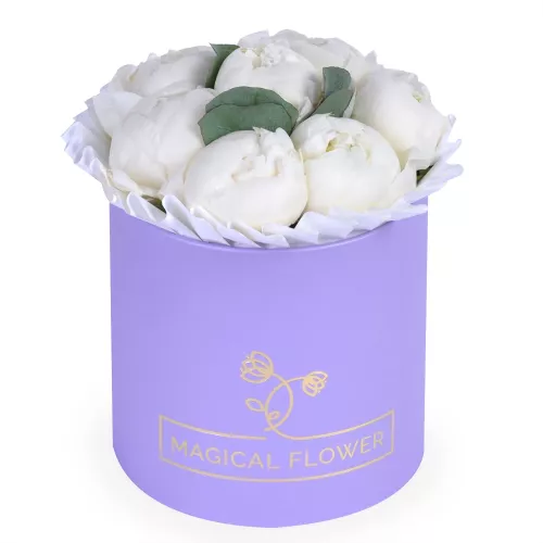 Букет из 7 белых пионов в фиолетовой шляпной коробке с эвкалиптом