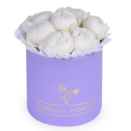 Букет из 7 белых пионов в шляпной коробке