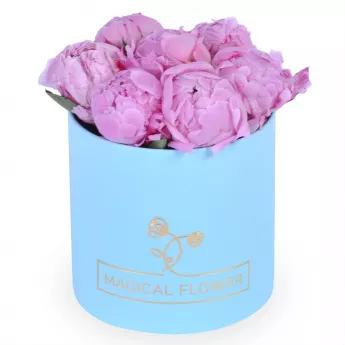 Букет из 7 розовых пионов в голубой шляпной коробке
