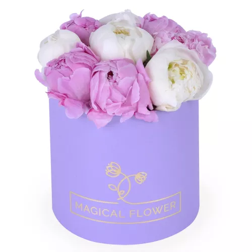 Букет цветов из 9 разноцветных пионов в фиолетовой шляпной коробке