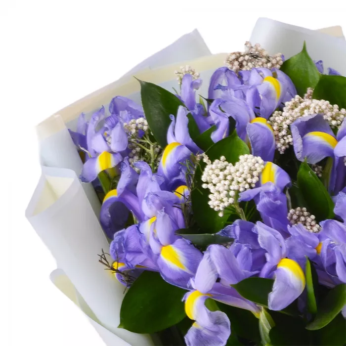 Букет с ирисами, озотамнусом и рускусом