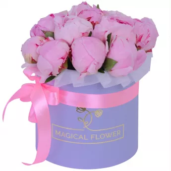 Букет из 15 розовых пионов в фиолетовой шляпной коробке