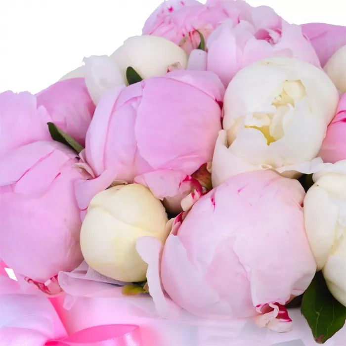 Букет из 19 разноцветных пионов в белой шляпной коробке