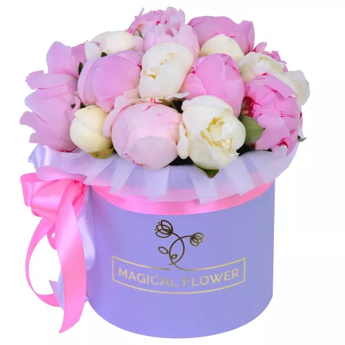 Букет из 19 разноцветных пионов в фиолетовой шляпной коробке