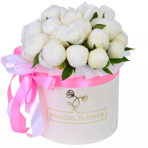 Букет цветов из 19 белых пионов в кремовой шляпной коробке