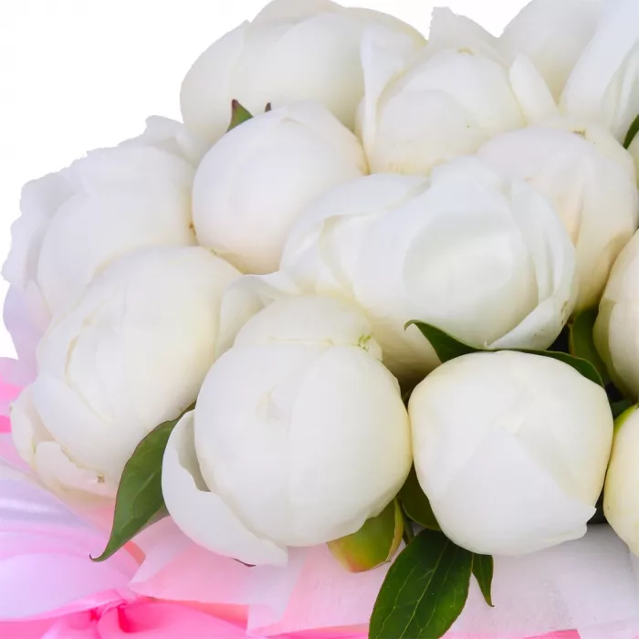Букет из 19 белых пионов в кремовой шляпной коробке