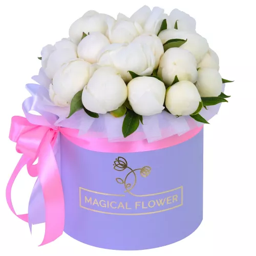 Букет цветов из 19 белых пионов в фиолетовой шляпной коробке