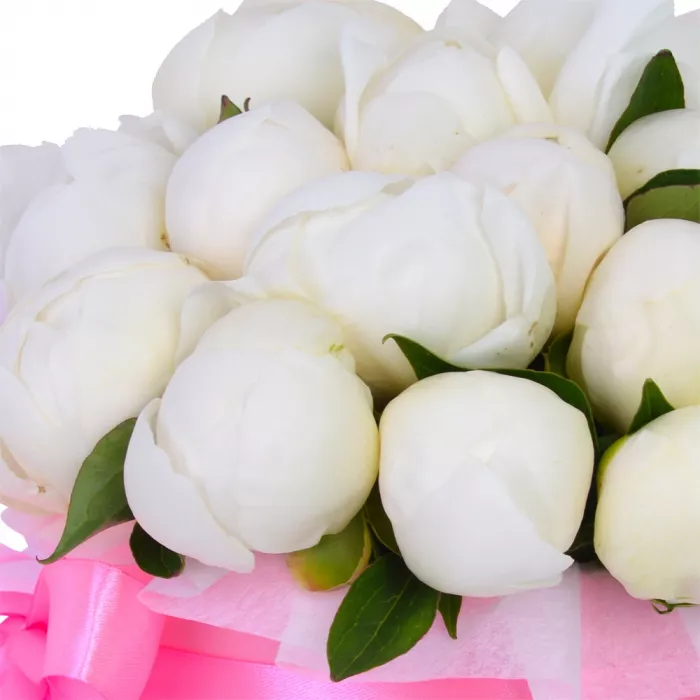 Букет из 19 белых пионов в розовой шляпной коробке
