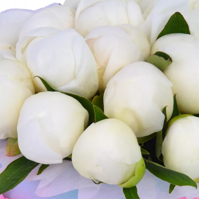 Букет из 19 белых пионов в голубой шляпной коробке