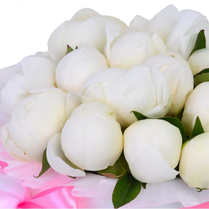 Букет из 19 белых пионов в белой шляпной коробке