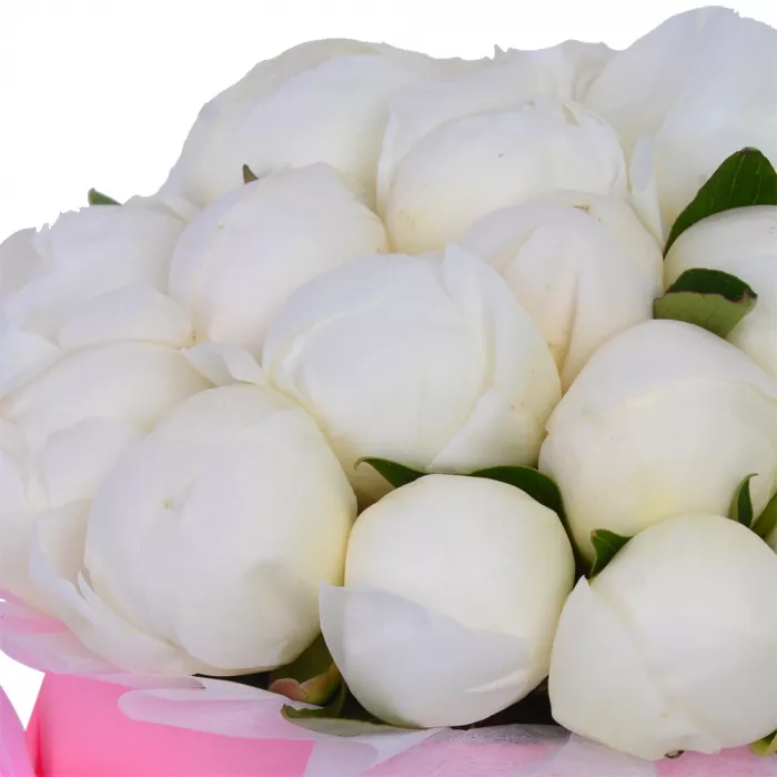 Букет из 21 белого пиона в розовой шляпной коробке Букет из 21 белого пиона в розовой шляпной коробке