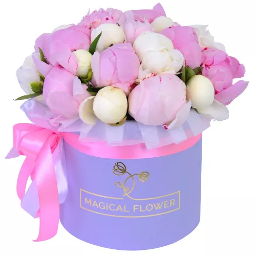 Букет из 21 разноцветного пиона в фиолетовой шляпной коробке