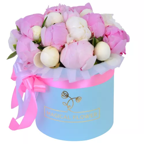 Букет из 21 разноцветного пиона в голубой шляпной коробке