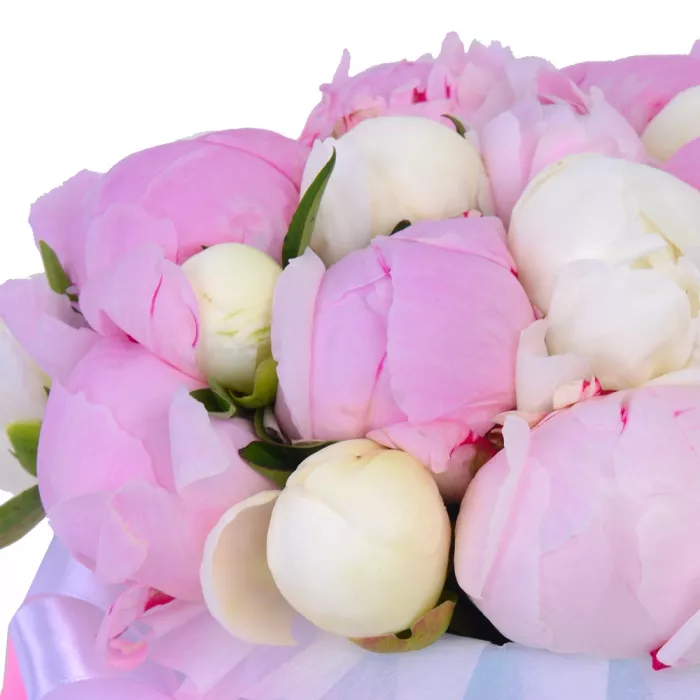 Букет из 21 разноцветного пиона в голубой шляпной коробке