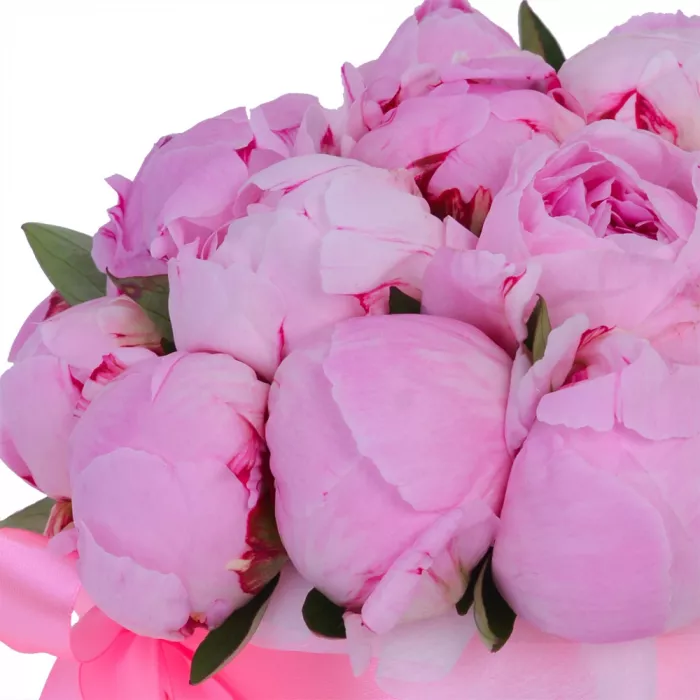 Букет из 21 розового пиона в розовой шляпной коробке