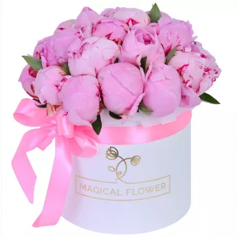 Букет из 21 розового пиона в белой шляпной коробке