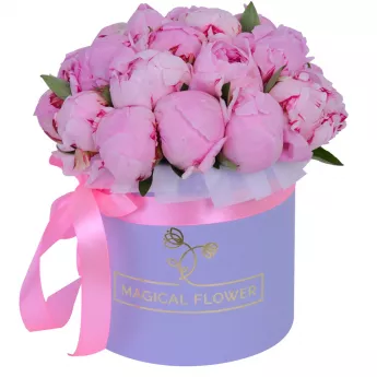 Букет из 21 розового пиона в фиолетовой шляпной коробке