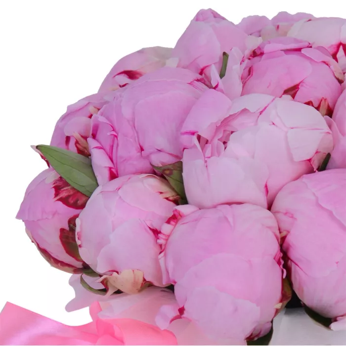 Букет из 21 розового пиона в кремовой шляпной коробке