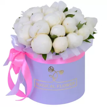Букет из 25 белых пионов в фиолетовой шляпной коробке