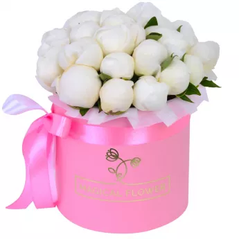 Букет из 25 белых пионов в розовой шляпной коробке