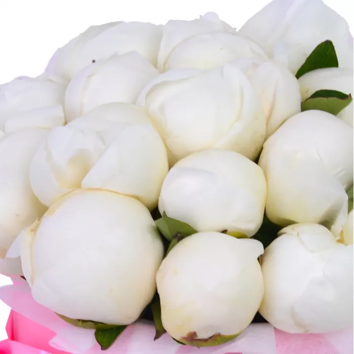 Букет из 25 белых пионов в розовой шляпной коробке