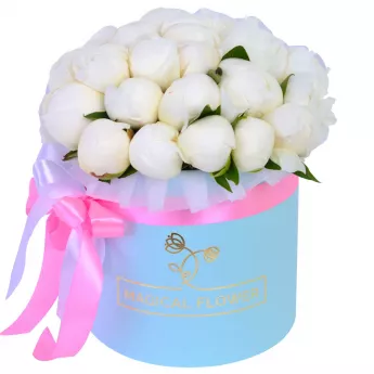 Букет из 25 белых пионов в голубой шляпной коробке
