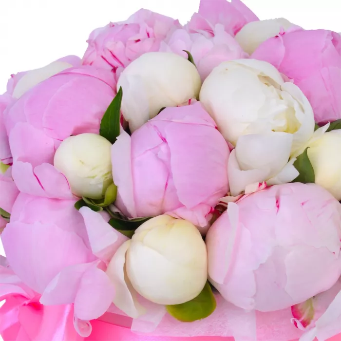 Букет из 25 разноцветных пионов в розовой шляпной коробке