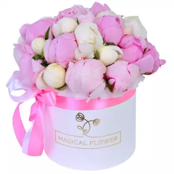Букет из 25 разноцветных пионов в белой шляпной коробке