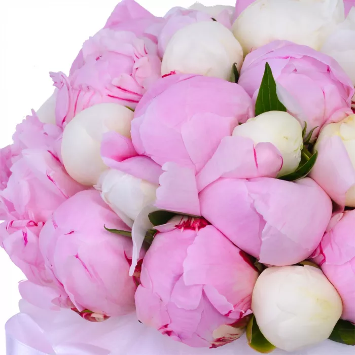 Букет из 35 разноцветных пионов в белой шляпной коробке