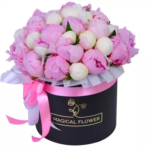 Букет из 35 разноцветных пионов в черной шляпной коробке