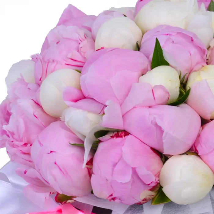 Букет из 35 разноцветных пионов в черной шляпной коробке