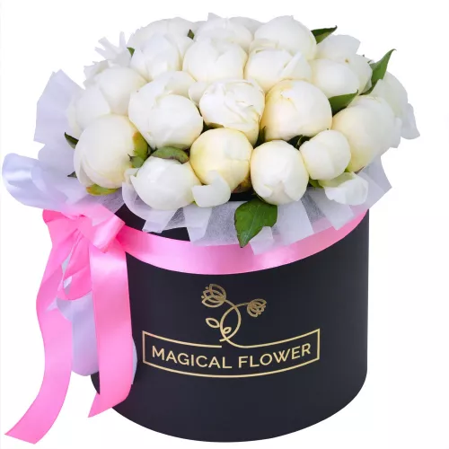 Букет цветов из 35 белых пионов в черной шляпной коробке