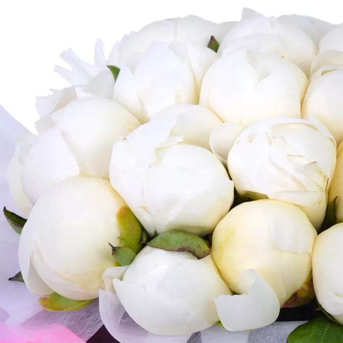 Букет из 35 белых пионов в черной шляпной коробке