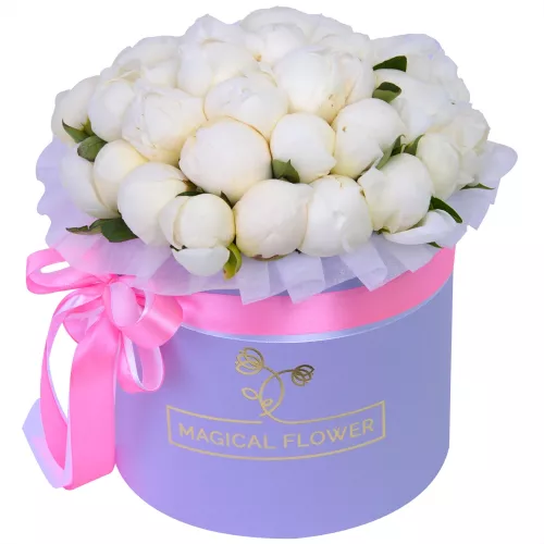 Букет цветов из 35 белых пионов в фиолетовой шляпной коробке