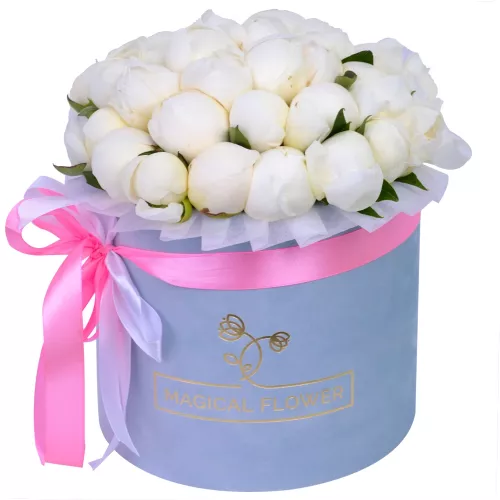 Букет цветов из 35 белых пионов в серой бархатной шляпной коробке