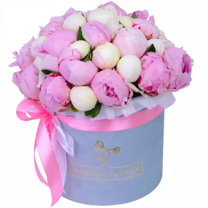 Букет из 35 разноцветных пионов в серой бархатной шляпной коробке