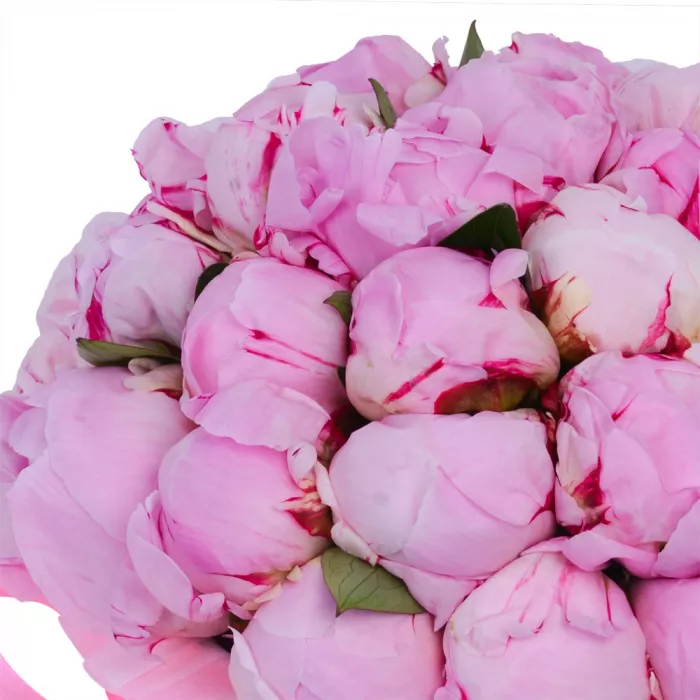 Букет из 35 розовых пионов в розовой шляпной коробке