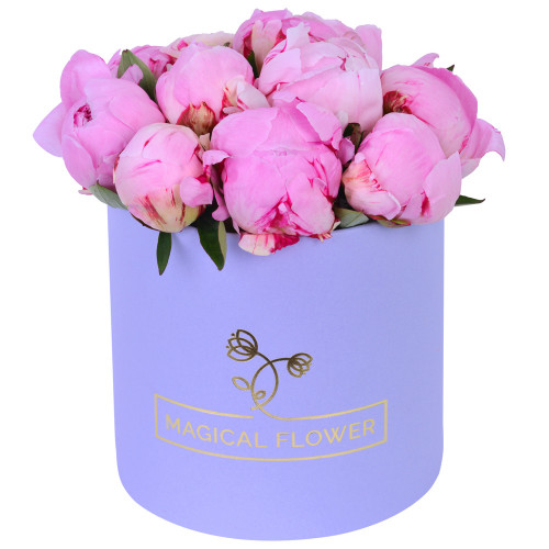 Букет из 11 розовых пионов в фиолетовой шляпной коробке