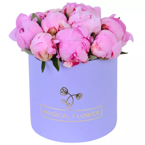 Букет из 11 розовых пионов в упаковке в фиолетовой шляпной коробке